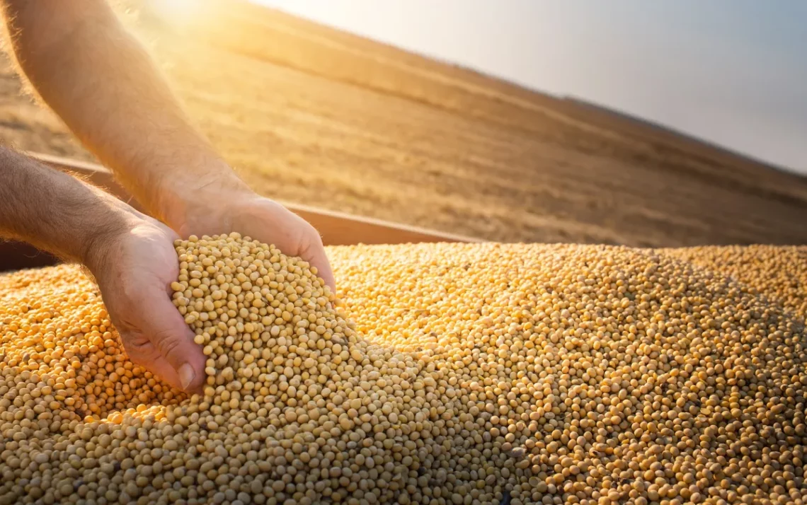 Fundos de Investimento em Cadeias Agroindustriais