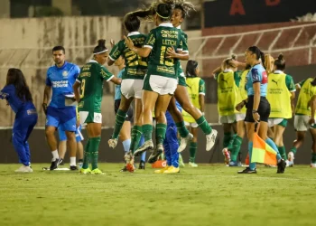 Campeonato Brasileiro feminino, competição