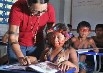 ensino para povos nativos, instrução de comunidades locais, formação acadêmica para indígenas