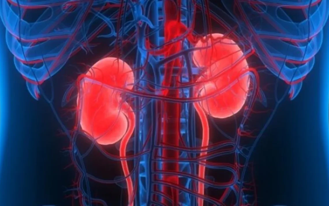 doença renal