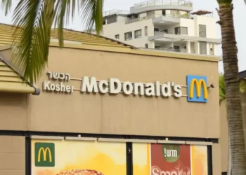 rede de fast food, restaurante de fast food, cadeia de fast food