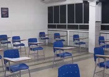 ensino, aprendizagem, instrução