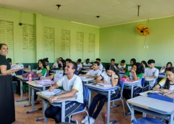 Educadores da rede estadual de ensino do Piauí, docentes da rede estadual de ensino