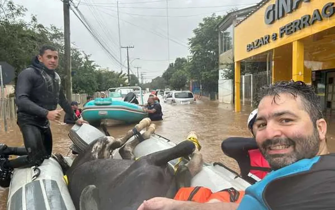 direnteleito, veterinário, professor, universidade federal, Ufrgs, jet, ski, botes, anestesia, cavalo, vacas, bovinos, ilha da Pintada, Santa Catarina;