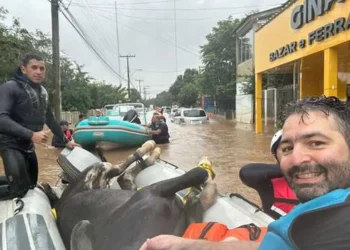 direnteleito, veterinário, professor, universidade federal, Ufrgs, jet, ski, botes, anestesia, cavalo, vacas, bovinos, ilha da Pintada, Santa Catarina;