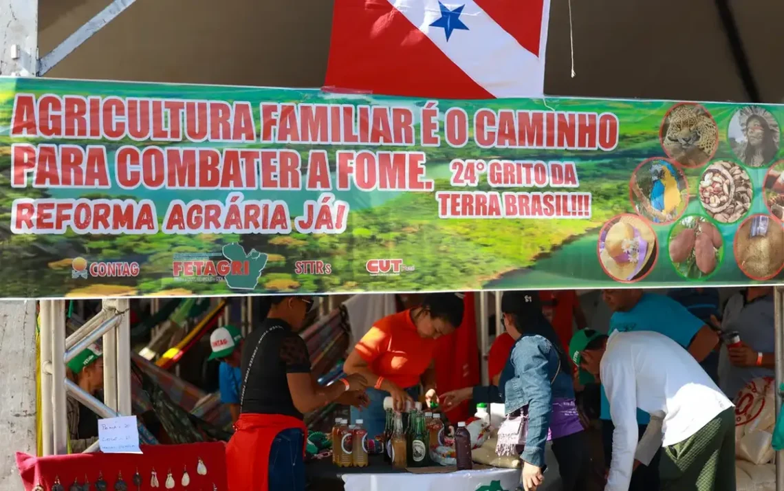 reforma, agrária eficiente, reforma, agrária mais, eficiente.