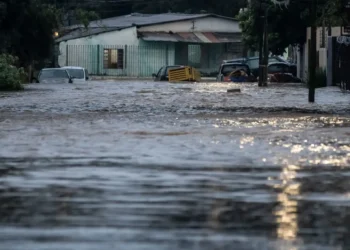 doença, doença infecciosa febril, doença aguda;