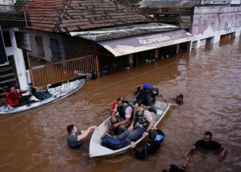 doença infecciosa, bactéria Leptospira