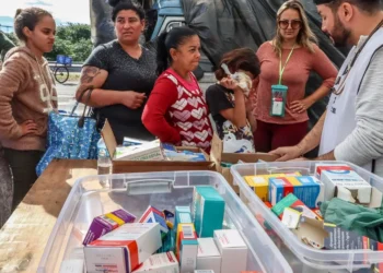 Ministério da Saúde, ministro, extraordinário, Paulo Pimenta, Adriano Massuda, hospitais, vigilância sanitária, leitos emergenciais, ações de saúde, Rio Grande do Sul, estado;