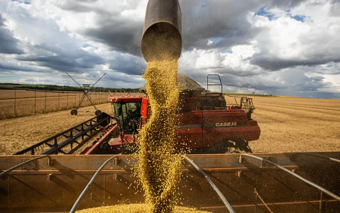 produção, agroindustrial;