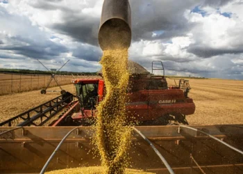 produção, agroindustrial;