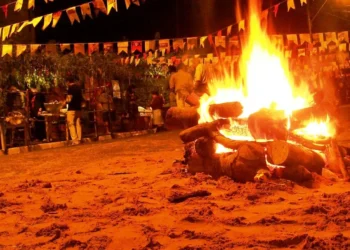 queimaduras, lesões, por calor, queimas;