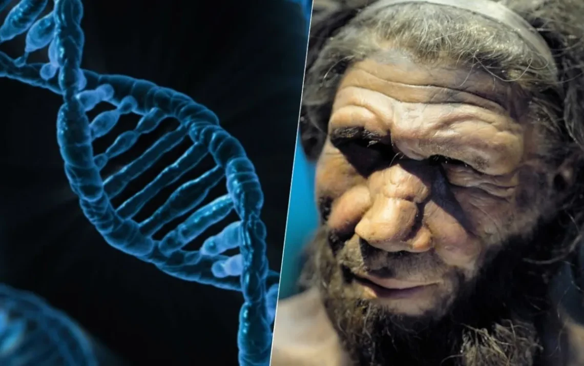 homem de Neandertal, nossos antepassados Neandertais;