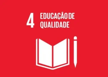 ensino, instrução, formação;