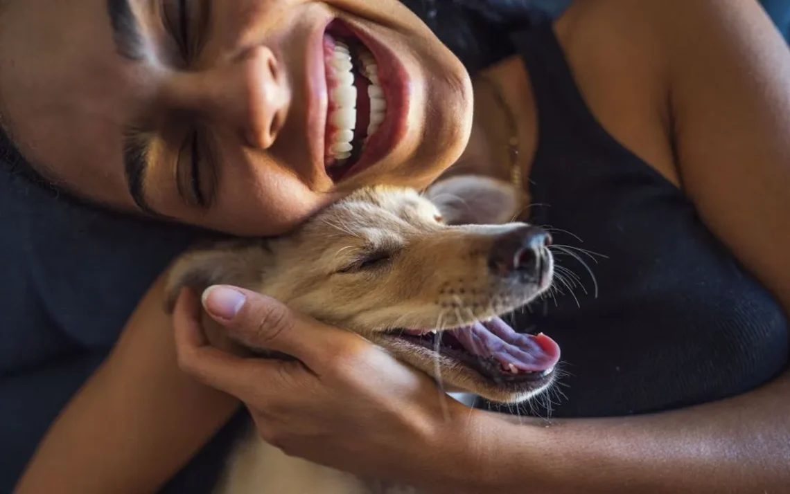 animais, de estimação