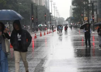 SP, Cidade de São Paulo;