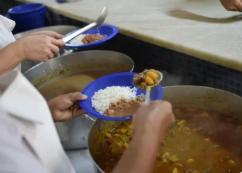 insegurança, alimentar, necessidades básicas, alimentação, adequada;