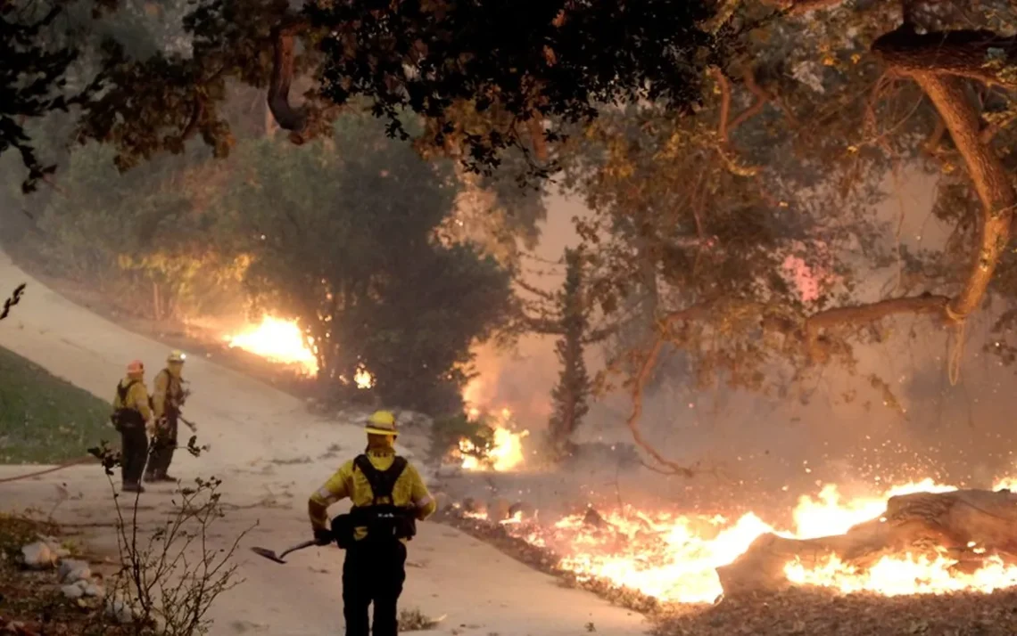 queimadas, focos, de-incêndio, queimaduras;