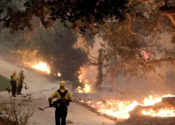 queimadas, focos, de-incêndio, queimaduras;