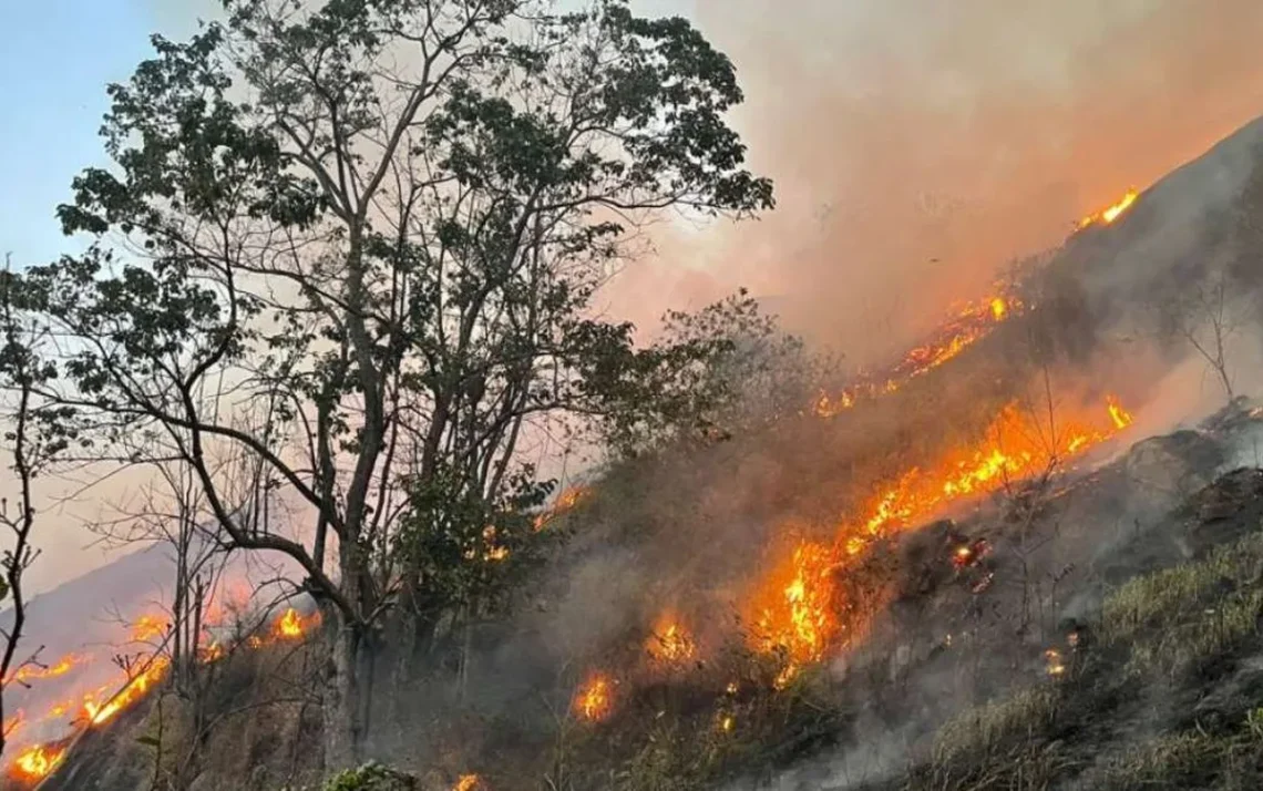 Queimadas, Focos, de incêndio, Fumaça;