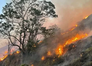 Queimadas, Focos, de incêndio, Fumaça;