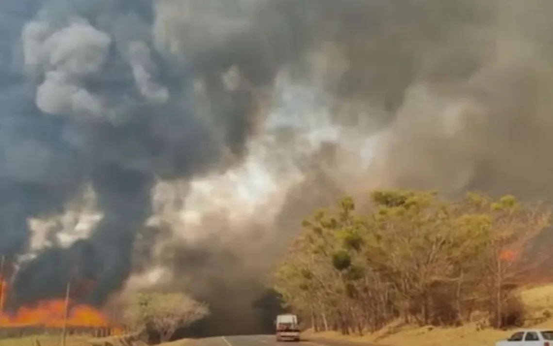 incêndios, focos, ativos, incêndios, florestais;