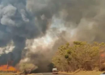 incêndios, focos, ativos, incêndios, florestais;