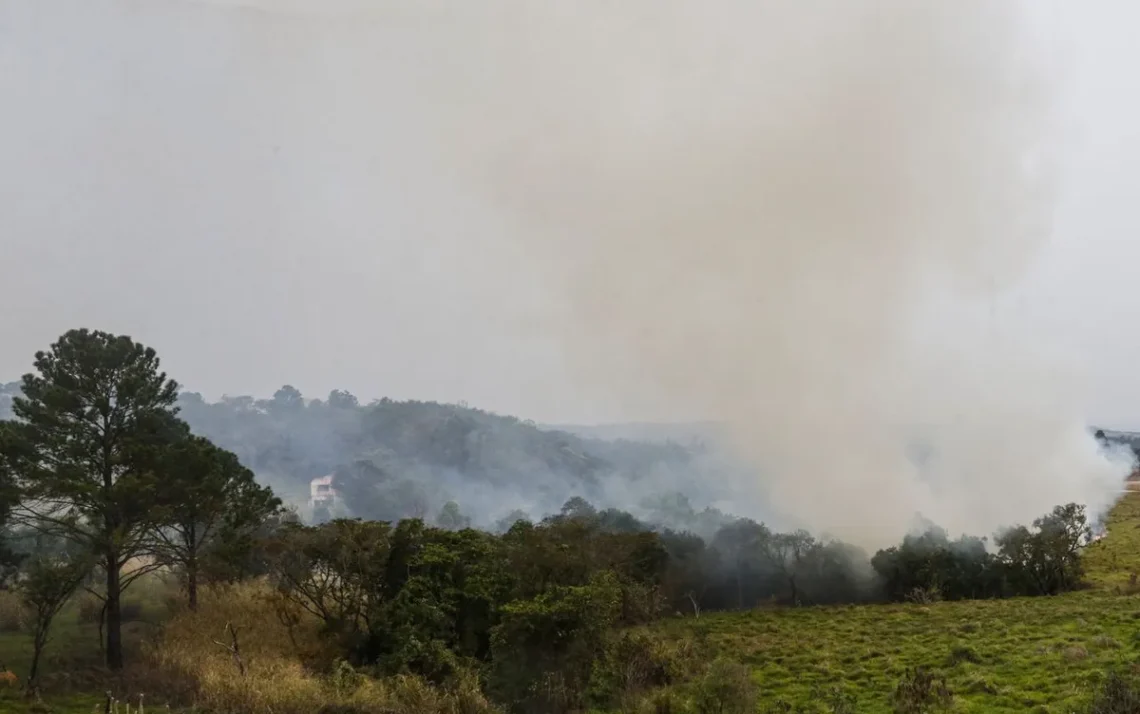 focos, de incêndio, queimadas;