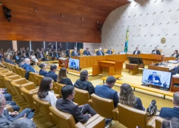 interrupção, voluntária da, gravidez;