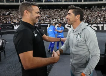 técnico, do Palmeiras;