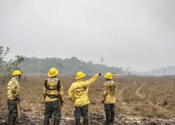 incêndios, queimadas, chamas;