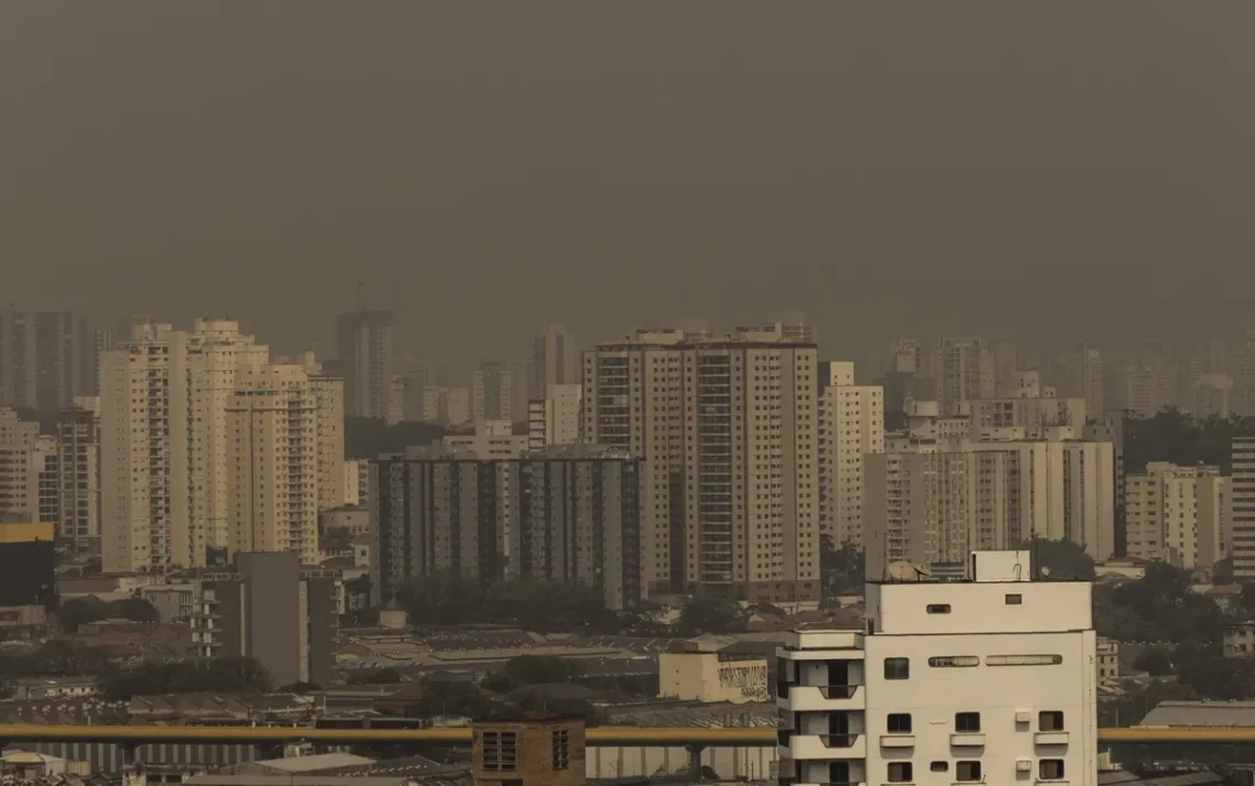 contaminação, ar poluído;