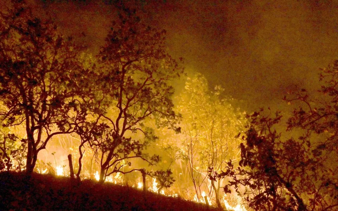 incêndios, focos, de calor, focos, de incêndio;