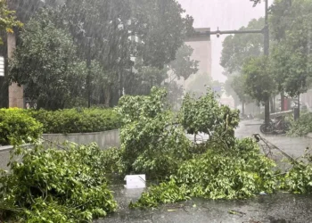 tempestade, furacão, ciclone;