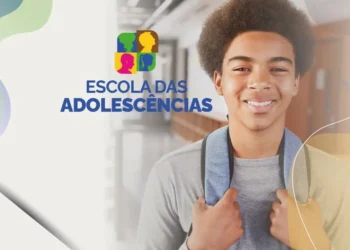 Programa de Apoio, Iniciativa de Educação, Estratégia de Ensino;