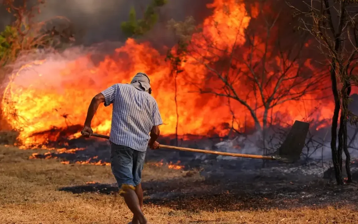 incêndios, focos de incêndio, fogo, áreas incendiadas';