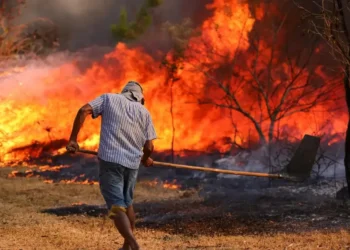 incêndios, focos de incêndio, fogo, áreas incendiadas';