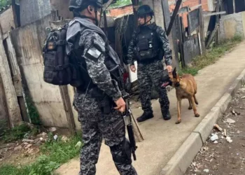 Ações policiais, Ações de segurança, Incursões policiais';