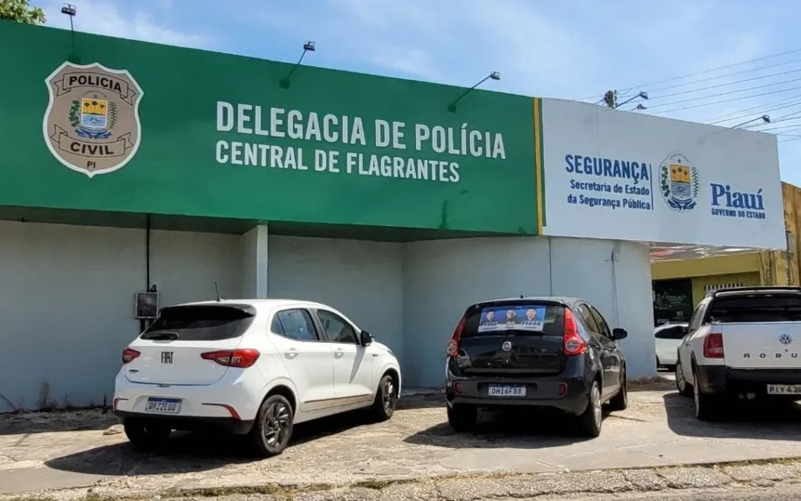 Acusado, Indiciado, Investigado, Detento;