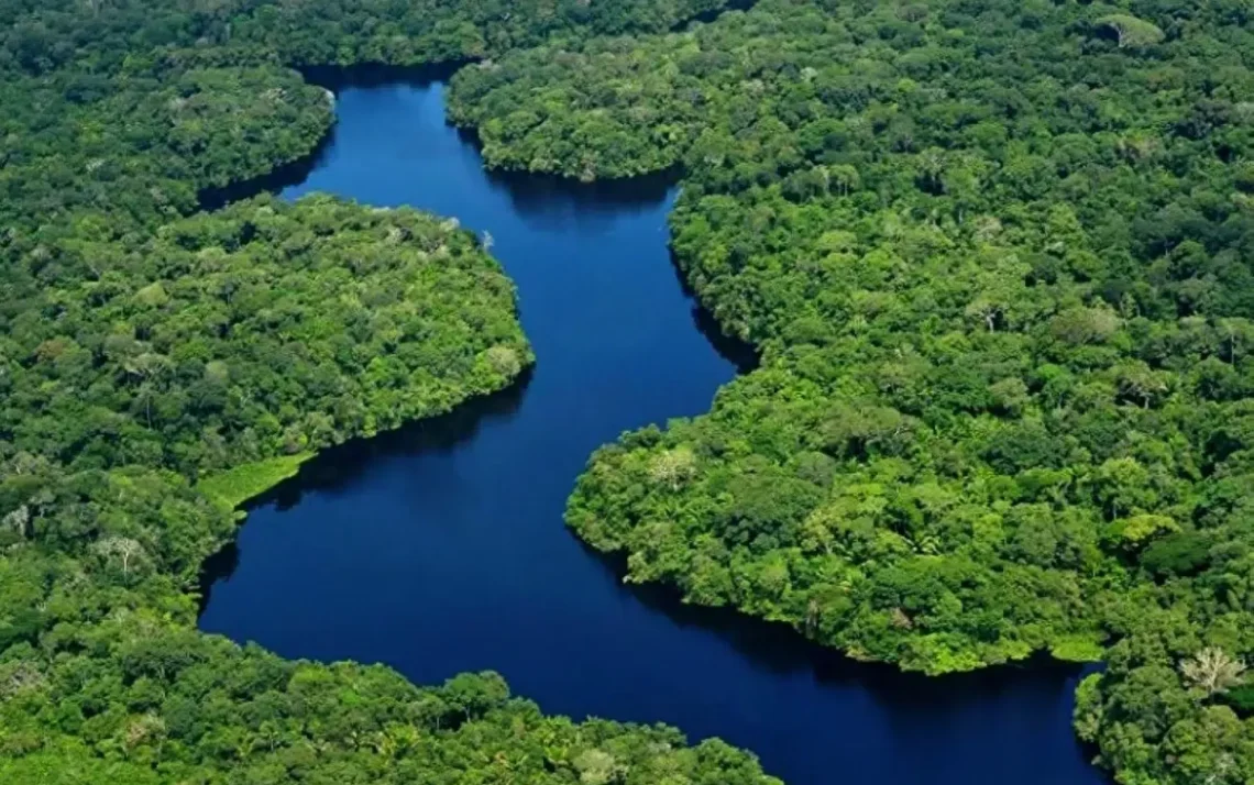 selva, floresta, bioma, ecossistema, biodiversidade, reservatório de oxigênio, patrimônio natural.