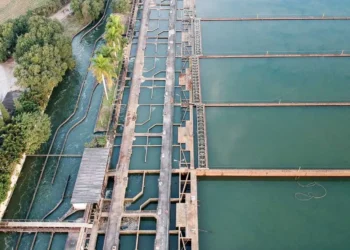 Sistema Guandu abastece a capital e Duque de Caxias, São João de Meriti, Nova Iguaçu, Mesquita, Nilópolis, Belford Roxo e Queimados. Foto: Divulgação - Todos os direitos: @ Terra