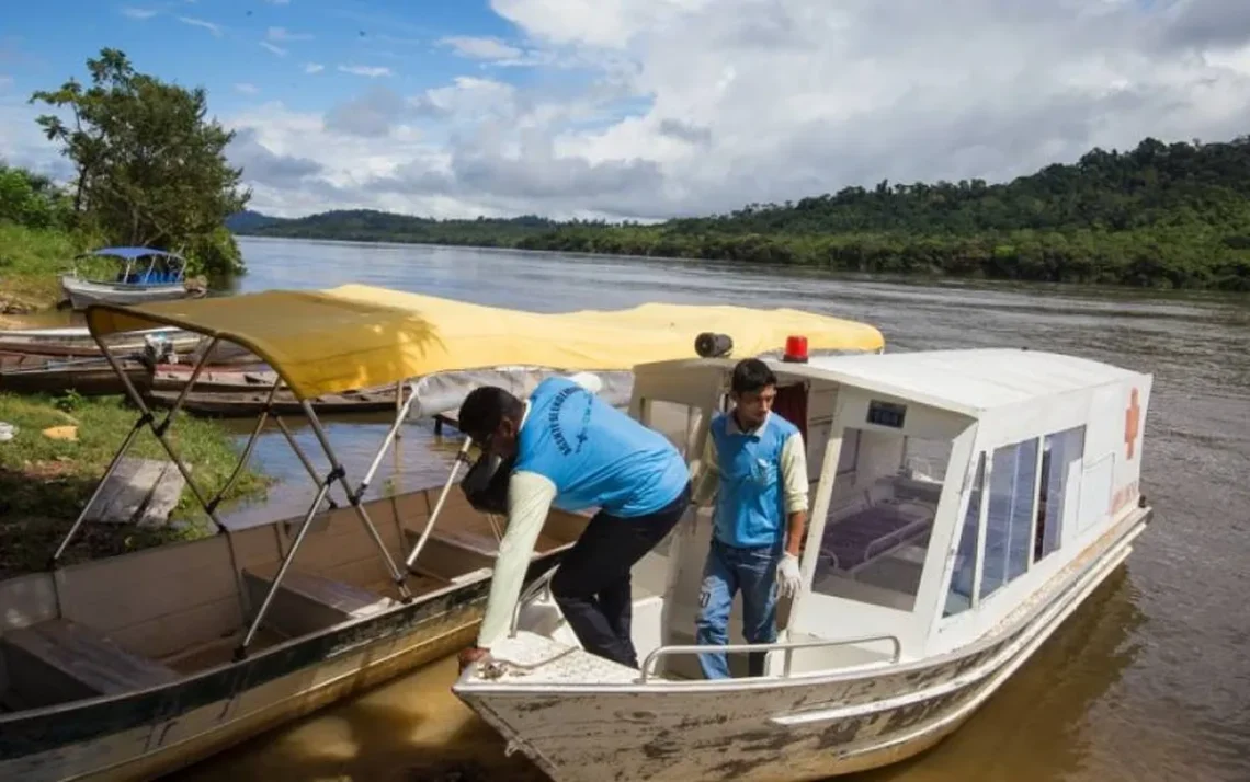 doenças, infecciosas, infecção, doença;